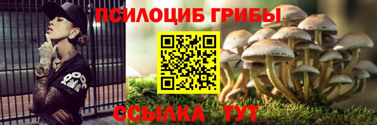 Псилоцибиновые грибы мицелий  Вход с VPN  Псилоцибиновые грибы Magic Shrooms  Комсомольск-на-Амуре 
